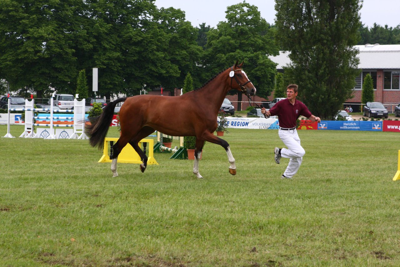 Bild 83 - Elmshorn am 9.6.10